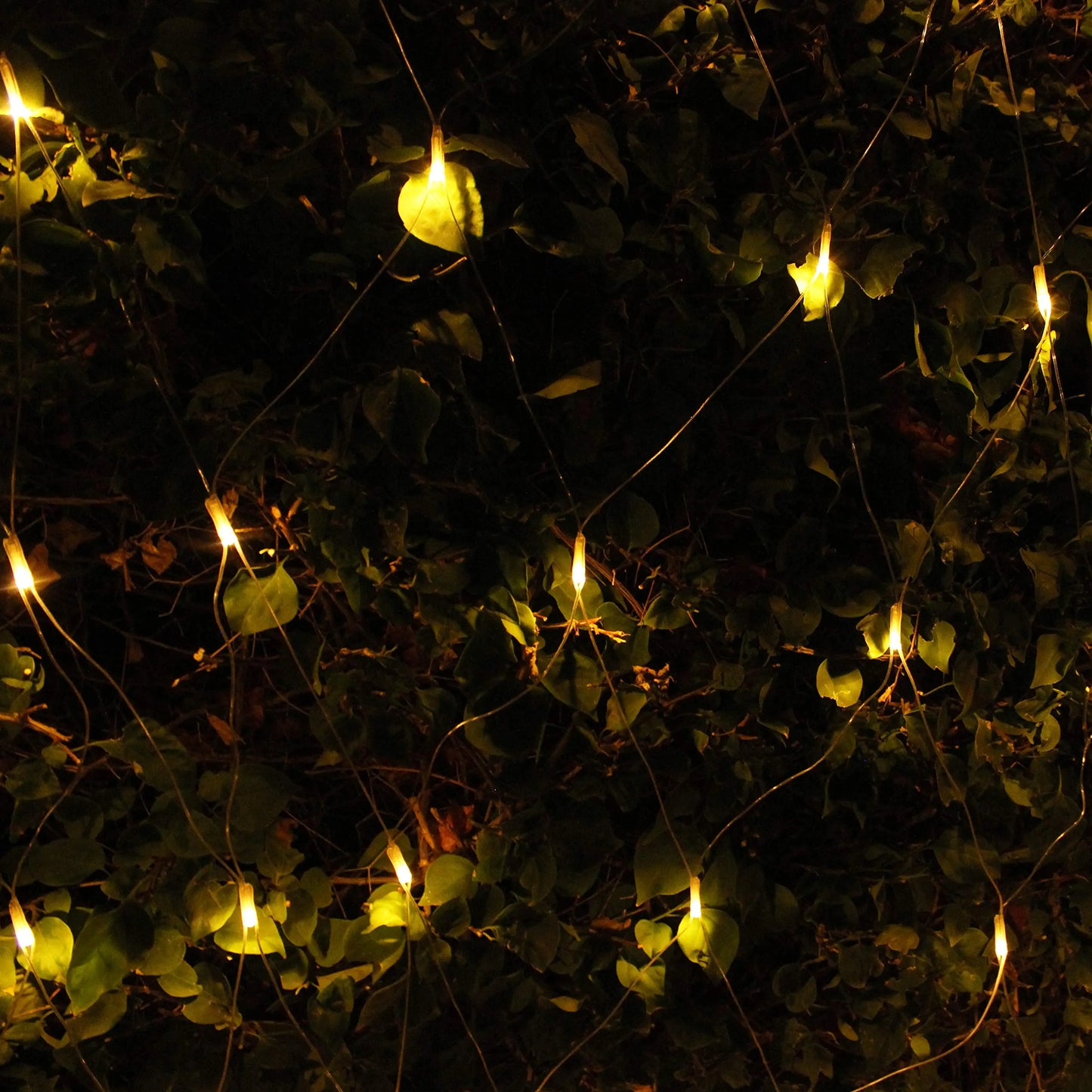 300 LED Christmas Net Lights, Warm White
