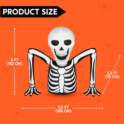 5.5 FT Skeleton Halloween Inflatables Outdoor Decorations
