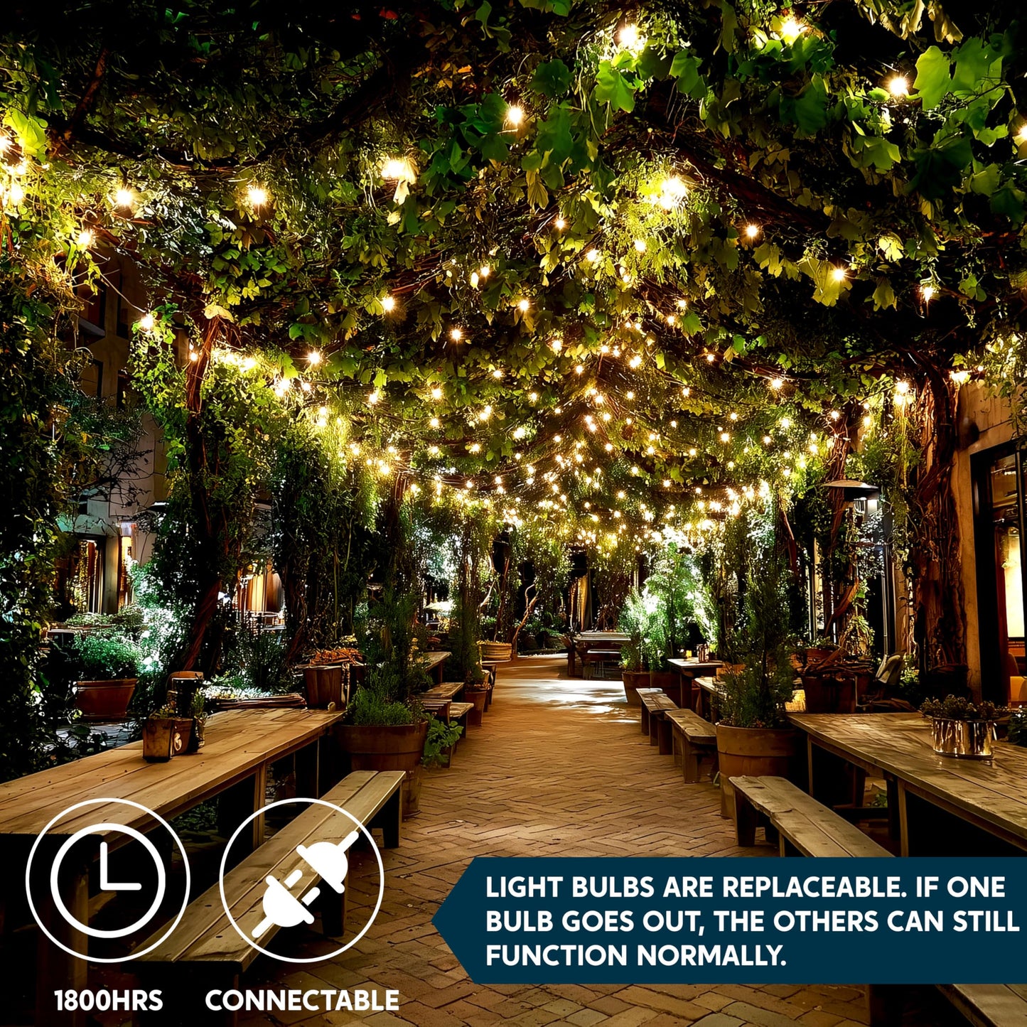 100 Clear Christmas String Lights Indoor