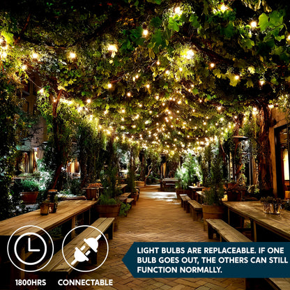 100 Clear Christmas String Lights Indoor