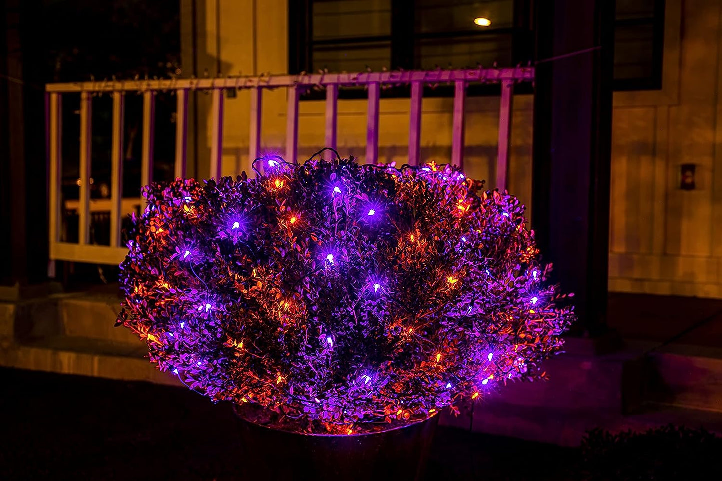 100 M5 LED Black Wire Net Lights (Orange & Purple)