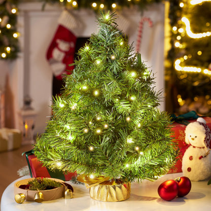 24"/2FT Small Tabletop Christmas Tree with LED Warm Lights
