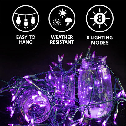 100 Purple LED Green Wire String Lights