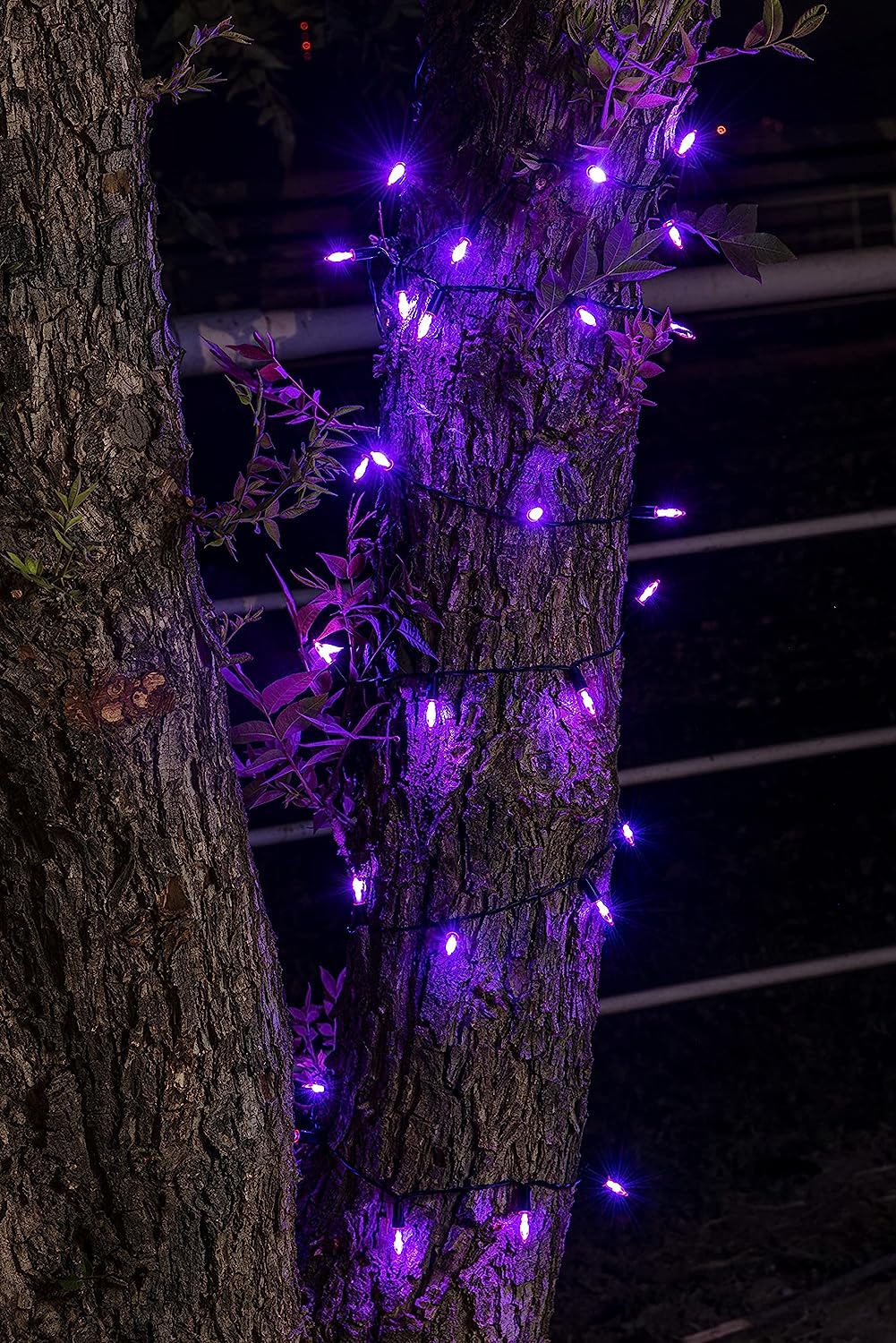50-Count 16.3ft LED Purple Halloween String Lights