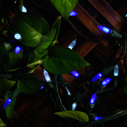 70 Blue & White M5 LED Green Wire String Lights