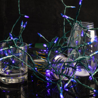 100 Blue LED Green Wire String Lights