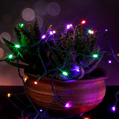 200 Multicolor LED Green Wire String Lights