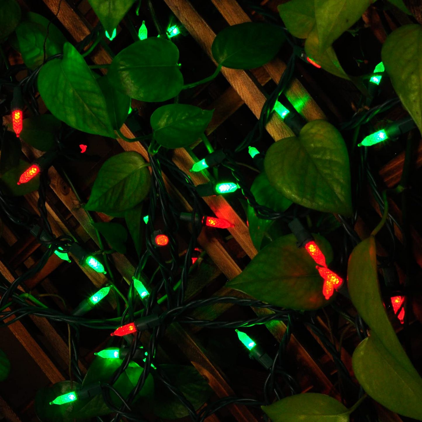 70 Red & Green M5 LED Green Wire String Lights