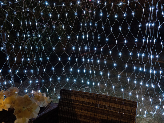 100 LED Clear Wire Net Lights (Cool White)