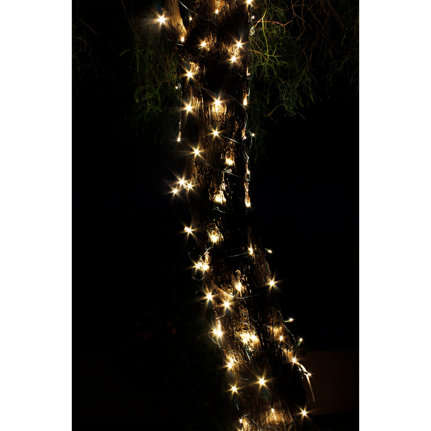 144 M5 LED Tree Wrap Net Lights