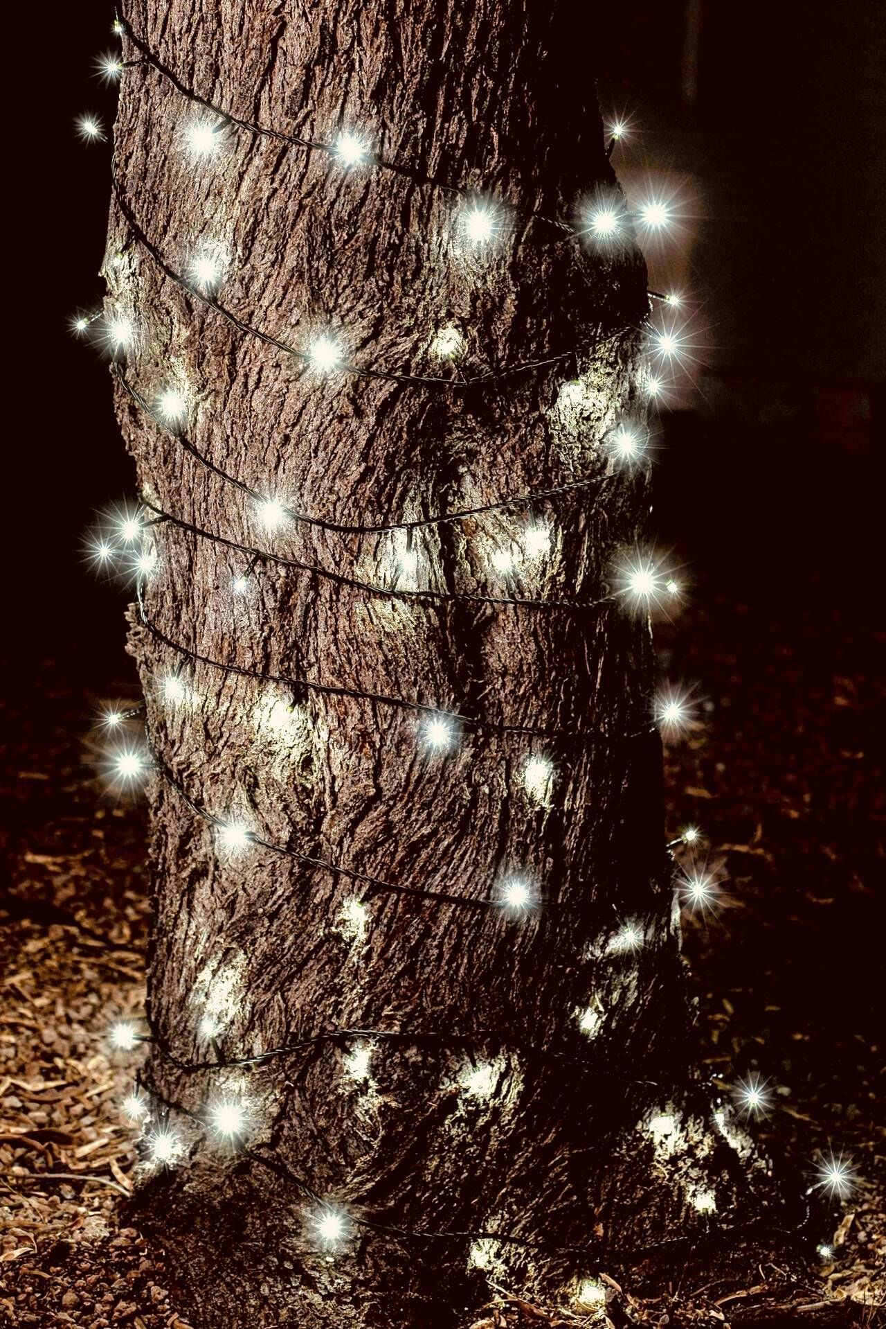360 LED Christmas String Lights (Cool White)