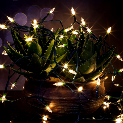 300 Warm White LED Green Wire String Lights, 8 Modes (T5)