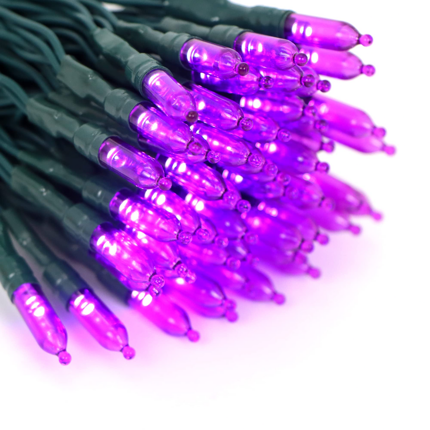 2x50 Purple LED Green Wire String Lights