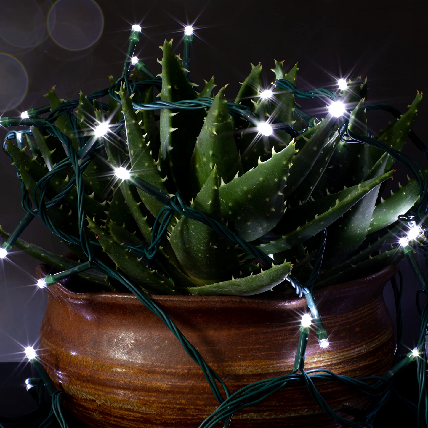300 White LED Green Wire String Lights
